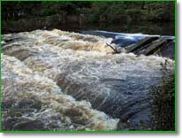 Weir on the Dart