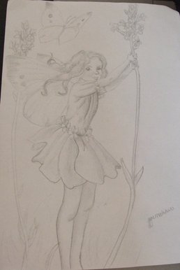 Fairy