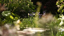 The Trailfinder's Australian Garden
