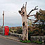 Finnis Tree - is it haunted?