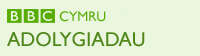 Adolygiadau