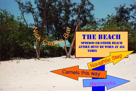 beach123.jpg