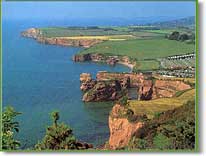 Red cliff of the coasline