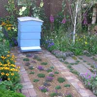 thyme_path.jpg