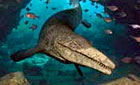 Sea monster fact files