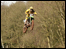 Hawkstone Motocross 2009 