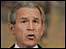 George W Bush