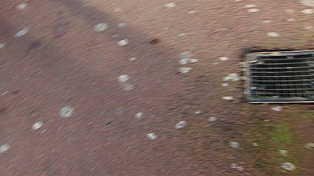 chewing_gum.jpg