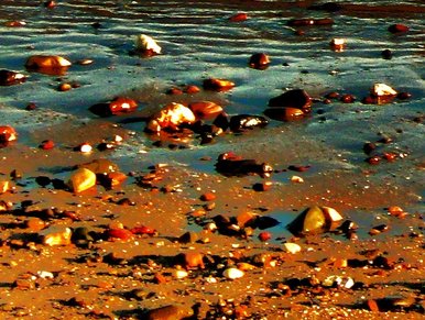 Calm sands