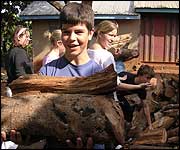 Collecting logs 