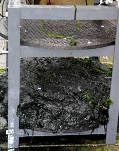 A seabed fuel cell