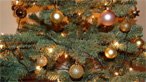 Christmas tree with lights