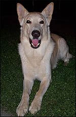 Milo