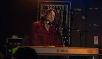 Hothouse Flowers