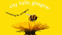Bee and flower
