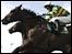 Tony McCoy on Foreman wins the John Smith's Maghull Novices' Chase at Aintree