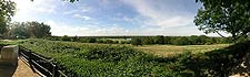 View from the terrace of Richmond Hill