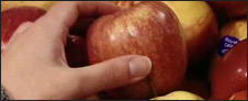 Food Preservation