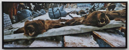 Pic3.gif