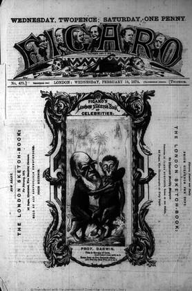 The Darwin Archive