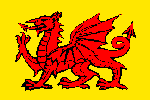 Flag Number 10