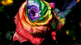 Rainbow Nectar...