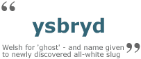 ghostslug.gif