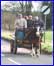Three men on a horse.