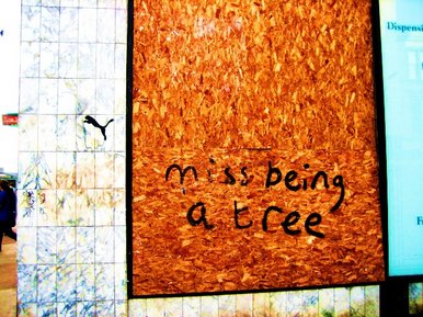 An ecological irony