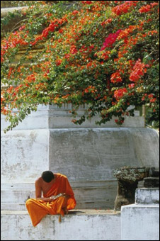 monk.jpg