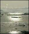 Arctic scene