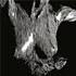 Review of Self Preserved While the Bodies Float Up