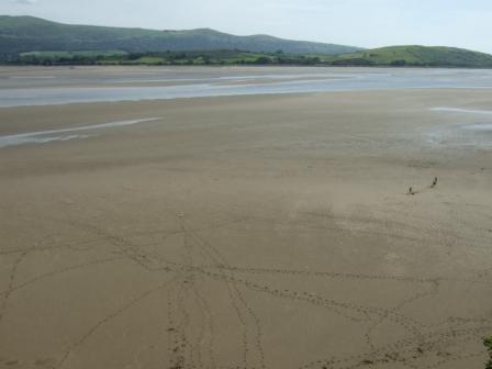 beach23.JPG