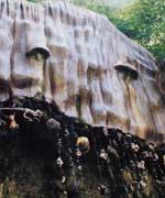 Petrifying well