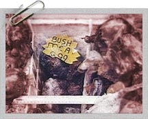 Bushmeat