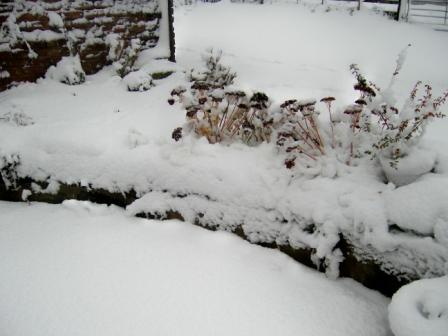 snow5.JPG