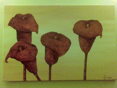 Calla lillies